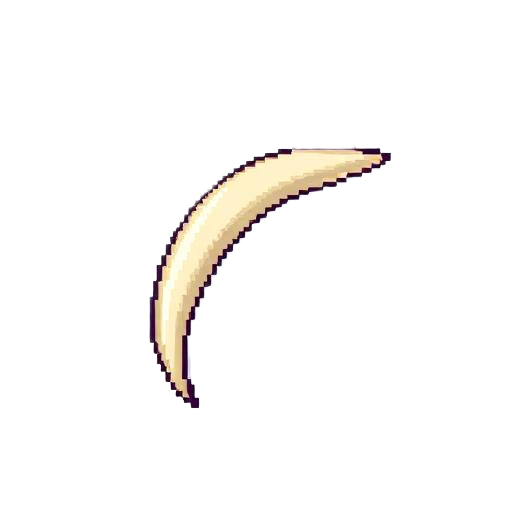 Chakoya Tooth